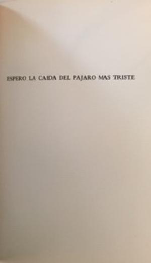 Espero la caída del pájaro más triste